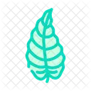 Philodendron Leaf Tropical Tree Palm Icon