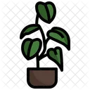 Philodendron Melanochrysum Flower Plant Icon