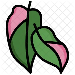 Philodendron Pink Princess  Icon
