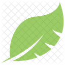 Philodendron Split Leaf  Icon