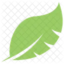 Tropical Big Plant Icon