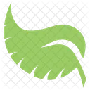 Tropical Big Plant Icon