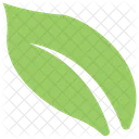 Tropical Big Plant Icon