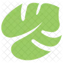 Tropical Big Plant Icon