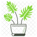 Philodendron Xanadu Houseplant Plant Symbol