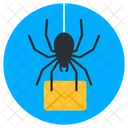 E Mail Virus E Mail Bug Bosartig Symbol