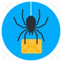 Email Virus Email Bug Malicious Icon