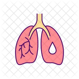 Phlegm buildup in lungs  Icon