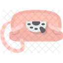 Phone  Icon