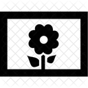 Photo  Icon