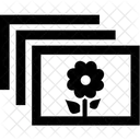 Photo  Icon