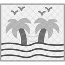 Photograph  Icon