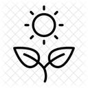 Photosynthese Icône
