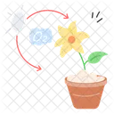 Photosynthese Plante Oxygene Icône