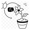 Photosynthese Plante Oxygene Icône