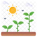 Sonnenlicht Photosynthese Landwirtschaft Symbol