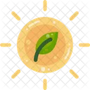 Photosynthesis Plant Leaf Icon