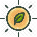 Photosynthesis Plant Leaf Icon