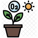 Photosynthesis Plant Oxygen Icon