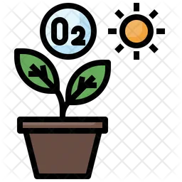 Photosynthesis  Icon