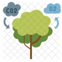 Photosynthesis  Icon