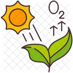 Photosynthesis  Icon