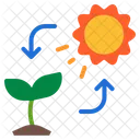 Photosynthesis Plant Sun Biology Science Education Icon