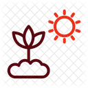 Photosynthesis Ecology Nature Icon