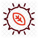 Photosynthesis Ecology Nature Icon