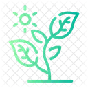 Photosynthesis Farming And Gardening Environment Icon