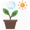 Photosynthesis  Icon
