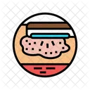Phototherapy Treat Disease Icon