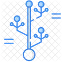 Phylogenetics Growth Tree Icon