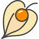 Physalis Berry Food Icon