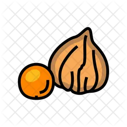 Physalis  Icon