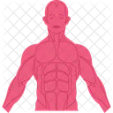Physical Sinew Tendon Icon