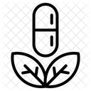  Icône