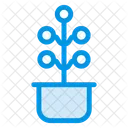 Pianta  Icon