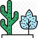 Pianta di cactus  Icon