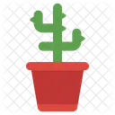 Pianta di cactus  Icon