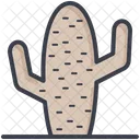 Pianta di cactus  Icon