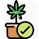 Pianta di cannabis  Icon