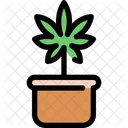 Pianta di cannabis  Icon