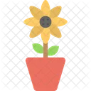 Girasole Pianta Fiore Icon