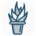 Pianta Selvatica Succulenta Cactus Icon