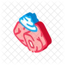 Pieces Meat  Icon