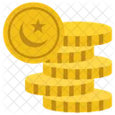 Pièces de monnaie pakistanaises  Icon