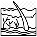 Piel  Icono