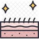 Piel Cuidado De La Piel Limpieza Icono