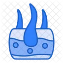 Piel  Icono